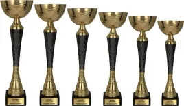 klasyczny-kompletow-pucharow-46-43-39-36-33-29-cm-personalizacja-gratis