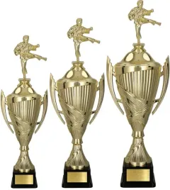 komplet-pucharow-karate-52-47-41-cm-grawerki-gratis