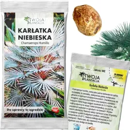 palma-mrozoodporna-nasiona-karlatka-niebieska-chamaerops-humilis-1-szt