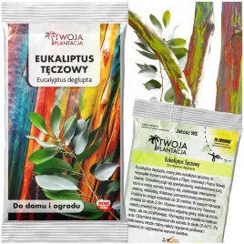 eukaliptus-teczowy-nasiona-eucalyptus-deglupta-szybkorosnacy-10-nasion