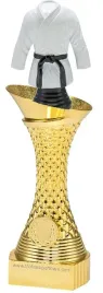 puchar-z-figurka-karate-sporty-walki-25cm-grawer