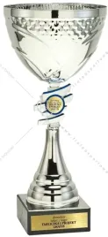 srebrny-metalowy-puchar-28-cm-grawer-gratis