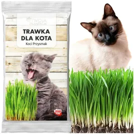 trawa-dla-kota-30g-naturalna-zdrowa-bezpieczna-przekaska-dla-twojego-pupila