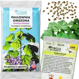 drzewo-tlenowe-nasiona-paulownia-omszona-oxygen-tree-gigant-100szt-nasion