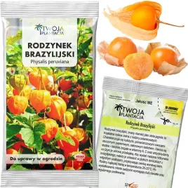 rodzynek-brazylijski-nasiona-miechunka-peruwianska-physalis-peruviana