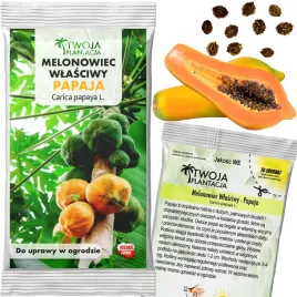 papaja-nasiona-carica-papaya-melonowiec-wlasciwy-duze-owoce-10-sztuk