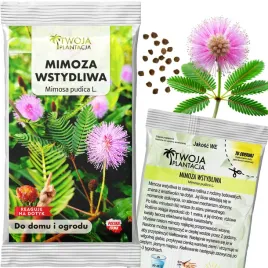 mimoza-wstydliwa-nasiona-czulek-wstydliwy-pudica-reaguje-na-dotyk-20-nasion