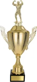 piekny-puchar-z-figurka-kulturystyka-43-cm-grawer-gratis