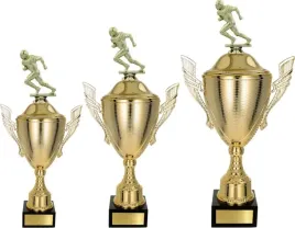 komplet-pucharow-rugby-48-42-37-cm-grawerki-gratis