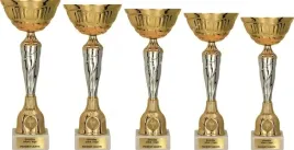 klasyczny-komplet-pucharow-zloto-srebrnych-5-szt-personalizacja-gratis