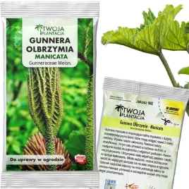 gunnera-olbrzymia-nasiona-gunnera-manicata-do-uprawy-w-ogrodzie-5-nasion