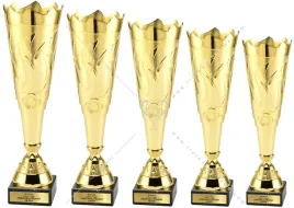 zloty-komplet-pieciu-pucharow-40-32-cm-grawerki-gratis