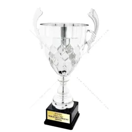 srebrny-imponujacy-puchar-61-cm-grawer-gratis