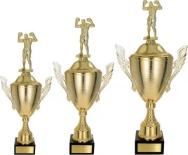 komplet-pucharow-z-figurka-boks-45-39-34cm-grawerki-gartis