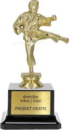 statuetka-karate-sporty-walki-18cm-grawerka