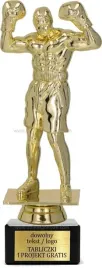 zlota-statuetka-boks-19cm-grawer-gratis