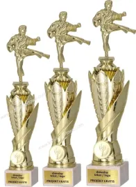 zloty-komplet-pucharow-karate-sporty-walki-37-34-31-cm-grawerki-gratis