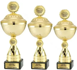 zloty-komplet-pucharow-z-emblematem-i-pokrywka-25-24-22-cm-grawerki-gratis