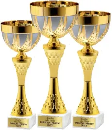 elegancki-komplet-pucharow-zloto-srebrnych-38-35-32-cm-grawerki-gratis