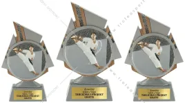 komplet-figurek-przestrzennych-3d-karate-20-17-15-cm-grawerki-gratis