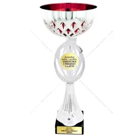 srebrno-czerwony-nowatorski-puchar-29-cm-grawer