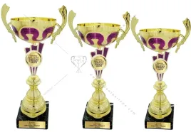 zloto-wrzosowy-komplet-pucharow-38-35-34-cm-grawer-gratis