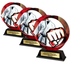 zestaw-3szt-statuetka-metal-plexi-z-nadrukiem-kolorowym-karate-grawer