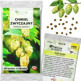 chmiel-nasiona-humulus-lupulus-dzikie-warzywko-do-ogrodu-5-nasion