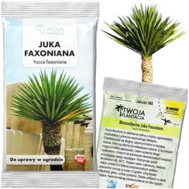mrozoodporna-juka-yucca-faxoniana-nasiona-do-ogrodu-5-nasion