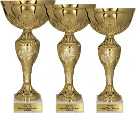 nowoczesny-komplet-zlotych-pucharow-30-27-24-cm-grawerki-gratis