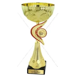 zloty-puchar-z-duza-wklejka-30-cm-grawer-gratis