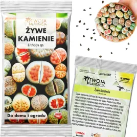 zywe-kamienie-nasiona-lithops-sp-mix-kolorow-20-swiezych-nasion