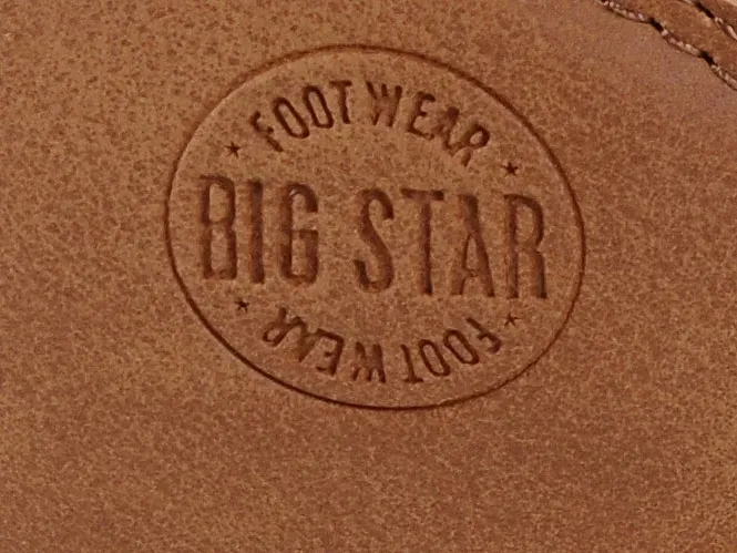 big-star-gg274497-camel-38