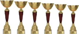 prestizowy-komplet-pucharow-34-32-29-27-25-23-cm-personalizacja-gratis