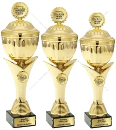 zloty-puchar-z-emblematem-i-przykrywka-34-cm-grawer-gratis