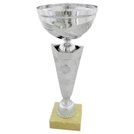 srebrny-metalowy-puchar-28-cm-grawer-gratis