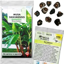 nasiona-bananowca-musa-sikkimensis-szybko-rosnacy-swieze-nasiona-10-nasion