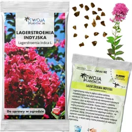 lagerstroemia-indica-nasiona-przepiekne-rozowe-drzewko-20-nasion