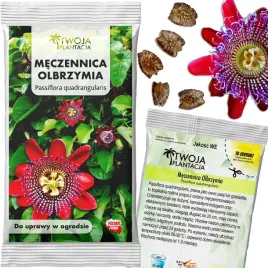 meczennica-olbrzymia-nasiona-passiflora-quadrangularis-ogromna-az-5-nasion