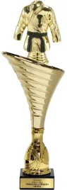 zloty-puchar-karate-sporty-walki-27-cm-tabliczka-grawer-gratis
