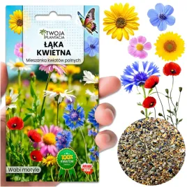 laka-kwietna-nasiona-express-laczka-kwiaty-polne-ziola-mix-kwiatow-20g