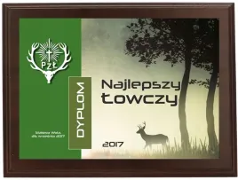 dyplom-najlepszy-lowczy-myslistwo-etui-30x23