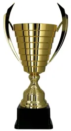 blyszczacy-i-okazaly-zloty-puchar-uniwersalny-50-cm-grawer-gratis