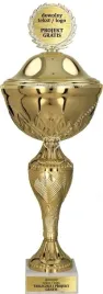 idealny-zgrabny-elegancki-zloty-puchar-28-cm-z-przykrywka-grawer-gratis