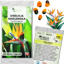 strelicja-krolewska-nasiona-strelitzia-reginae-rajski-ptak-swieze-5-nasion