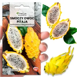 pitaja-zolta-kaktus-jadane-owoce-smoczy-owoc-egzotyczna-roslina-nasiona