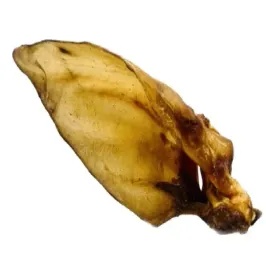 petmex-ucho-z-bawola-1szt-przysmak-dla-psa-naturalny