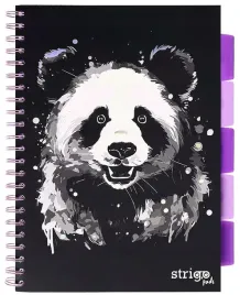kolonotes-kolozeszyt-project-book-a4-panda-czarny-100k-kratka-z-zakladkami