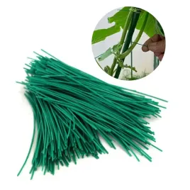 drut-plaski-ogrodniczy-do-podwiazywania-podtrzymywania-lodyg-roslin-10cm