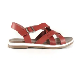 big-star-dd274994-red-37